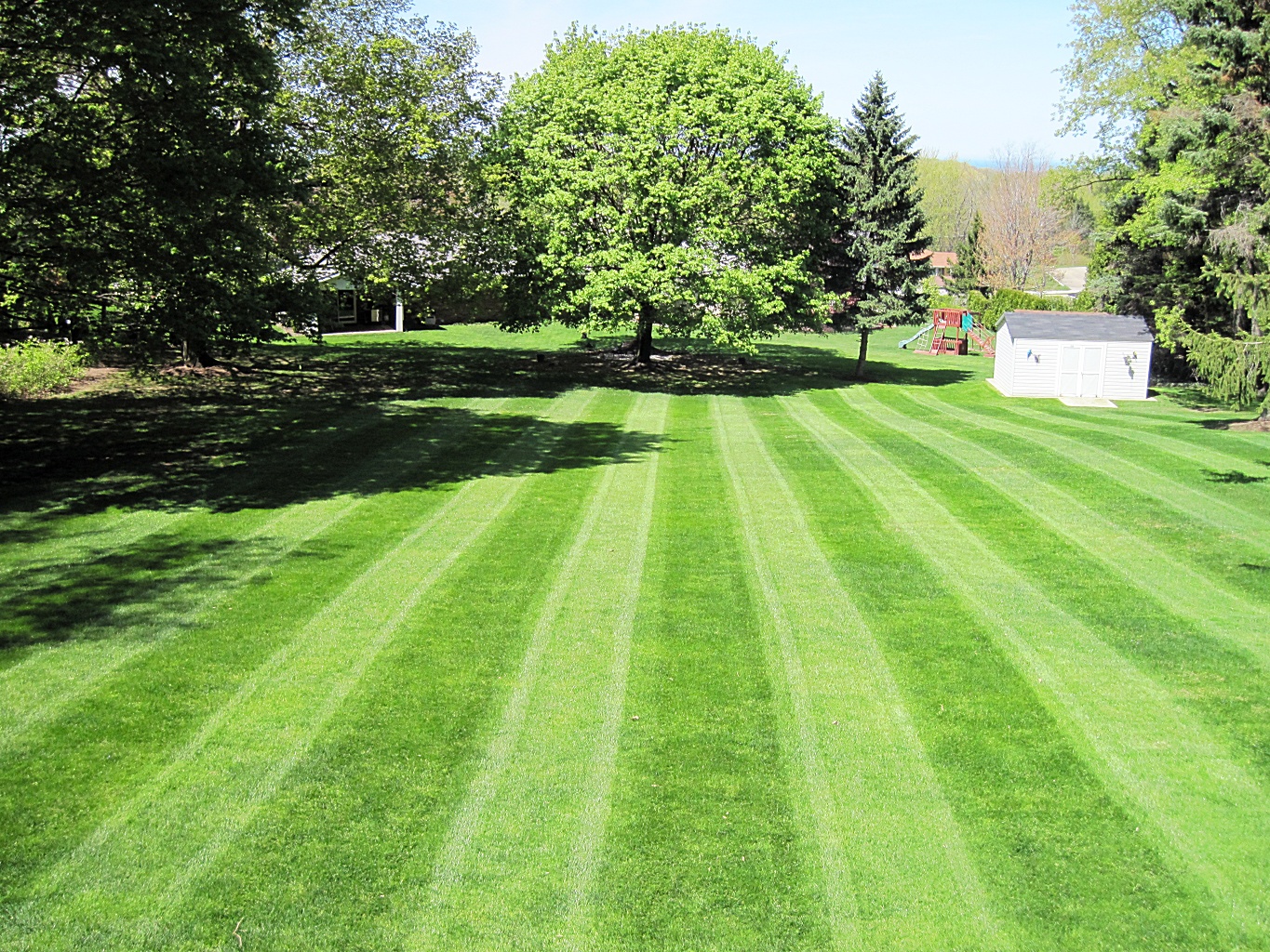 How to Take Care of a Lawn