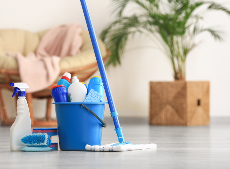 Impact of Airbnb Cleaning Services on Guest Satisfaction and Reviews