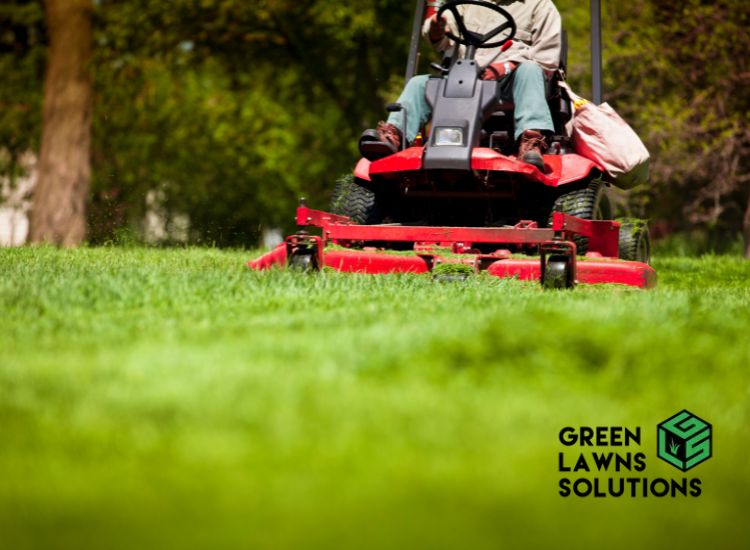 Common Lawn Mowing Mistakes and How to Avoid Them